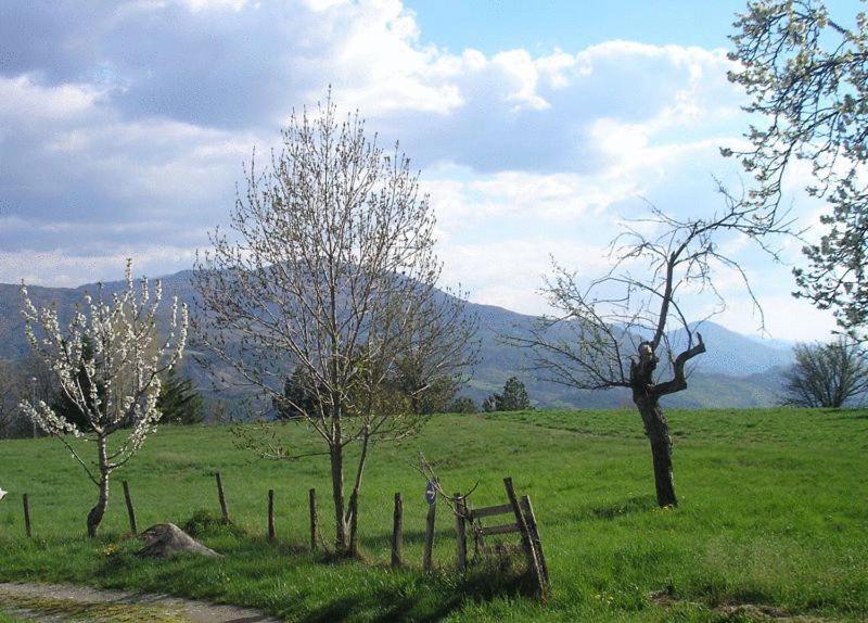 Frühstückspension La Pastorale